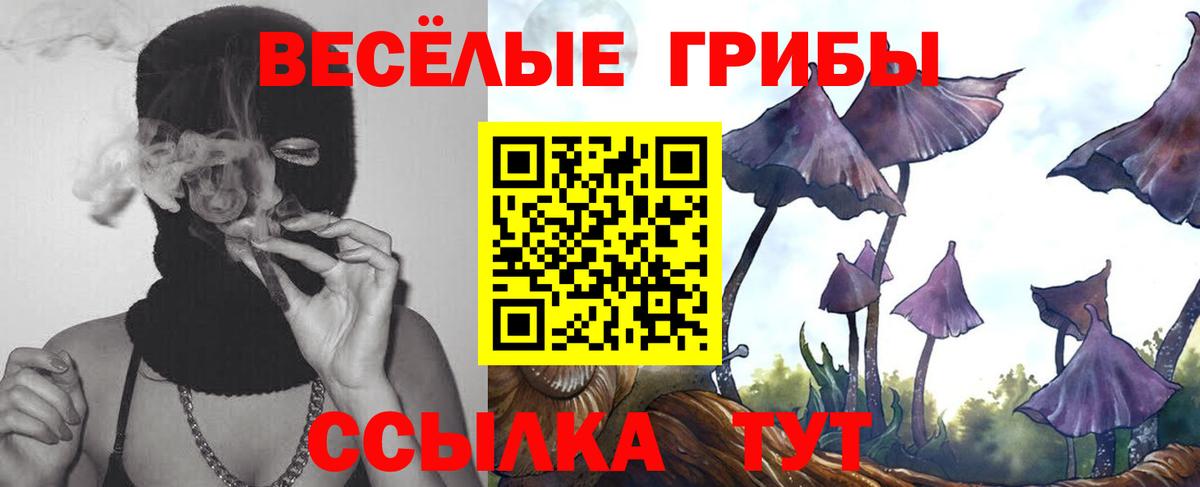 Астрахань  Галлюциногенные грибы MAGIC MUSHROOMS  Вход с VPN  Галлюциногенные грибы Magic Shrooms 