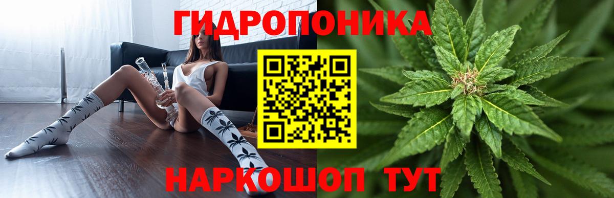 Шишки марихуана White Widow Астрахань